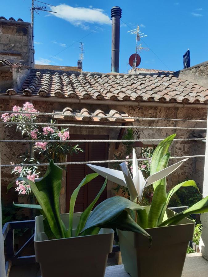 Casa Il Girasole Pitigliano Apartment Luaran gambar